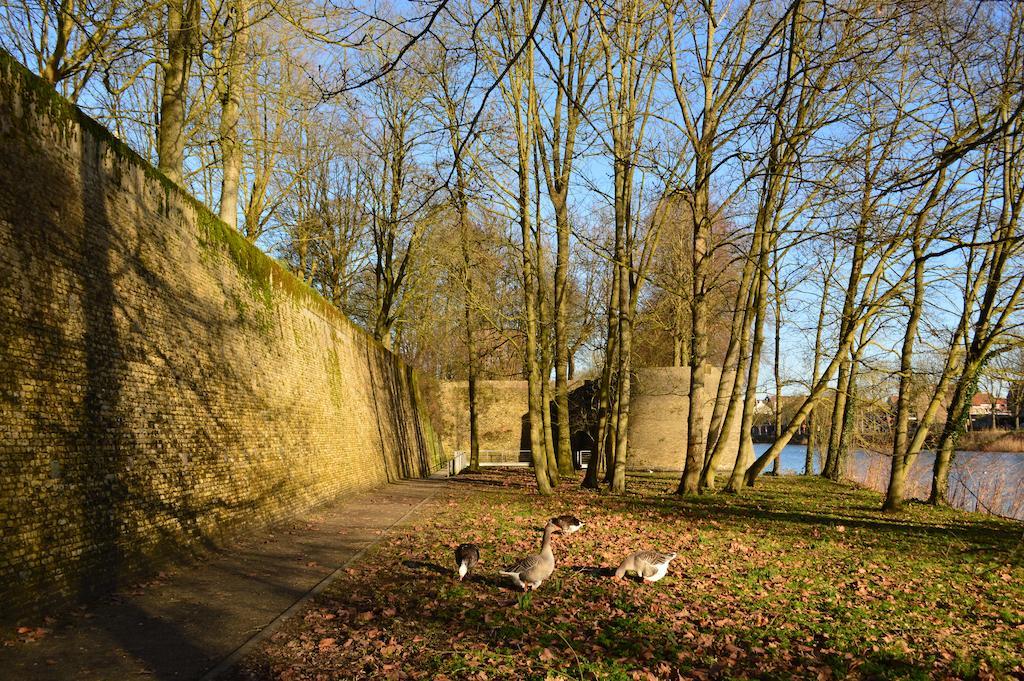 Holiday Home Ipericus Ypres Habitación foto